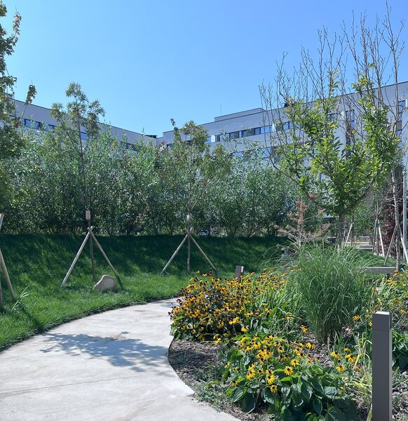 Lacul Straulesti, Mall Colosseum